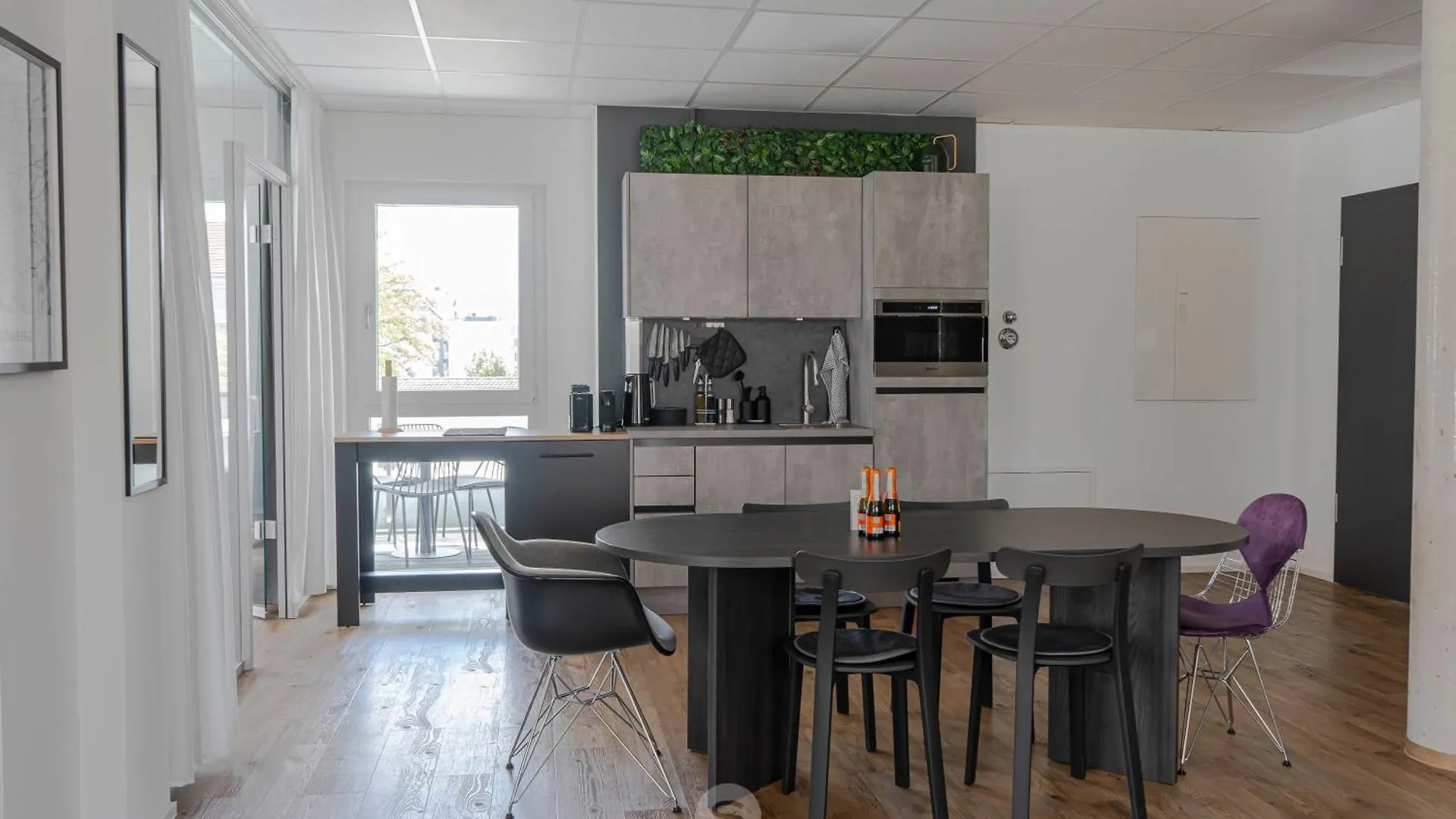 Suite Apartment Opernhaus Nuremberg